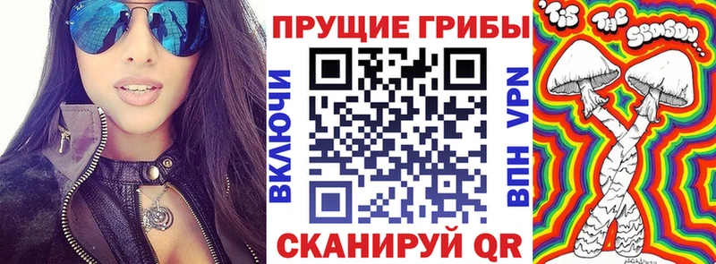 Галлюциногенные грибы GOLDEN TEACHER  ОМГ ОМГ рабочий сайт  Саранск  закладка 